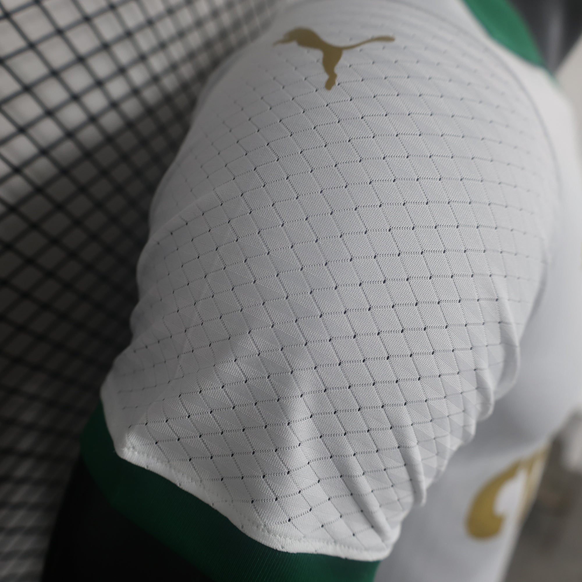 Camisa Palmeiras II 24/25 - Torcedor e Jogador