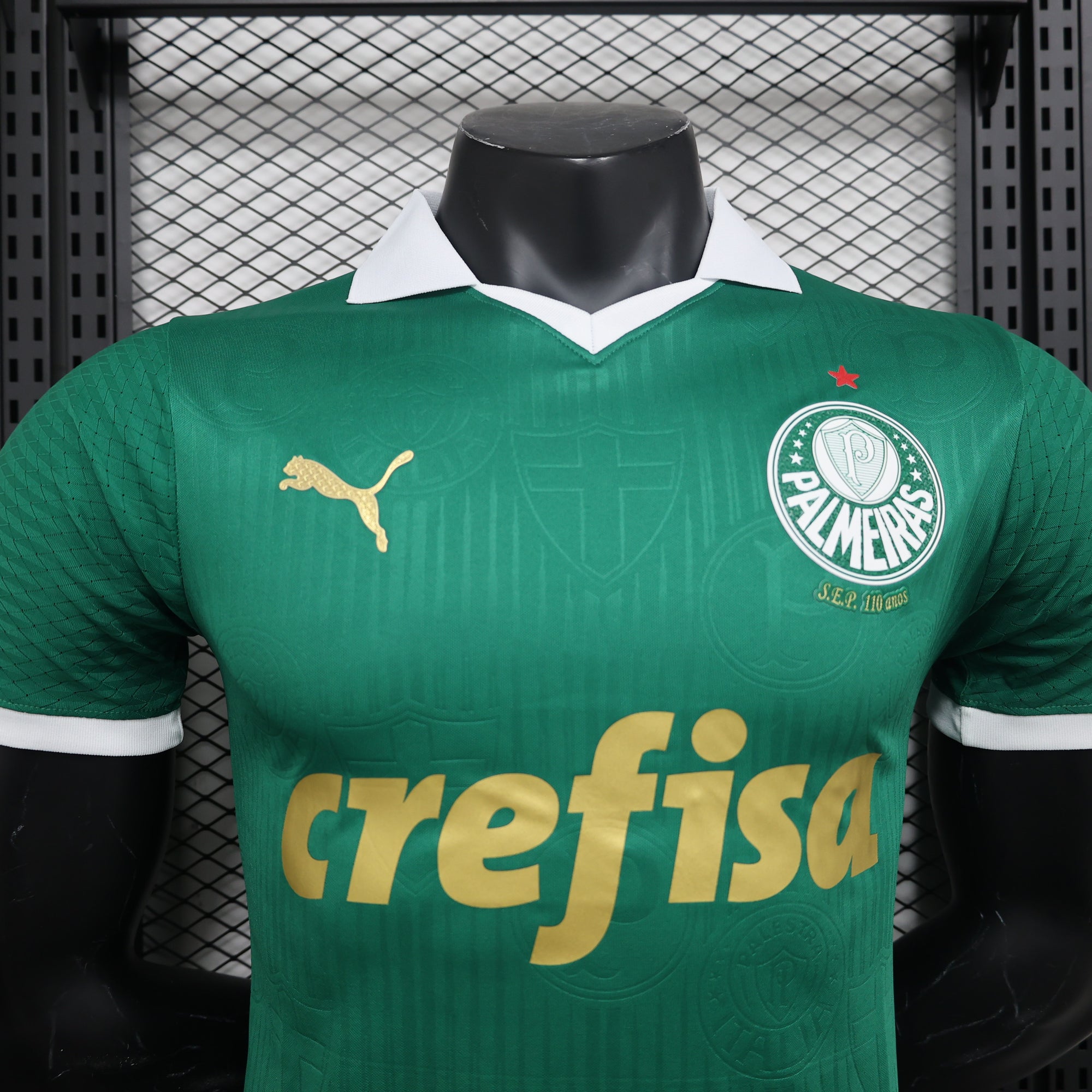 Camisa Palmeiras I 24/25 - Torcedor e Jogador