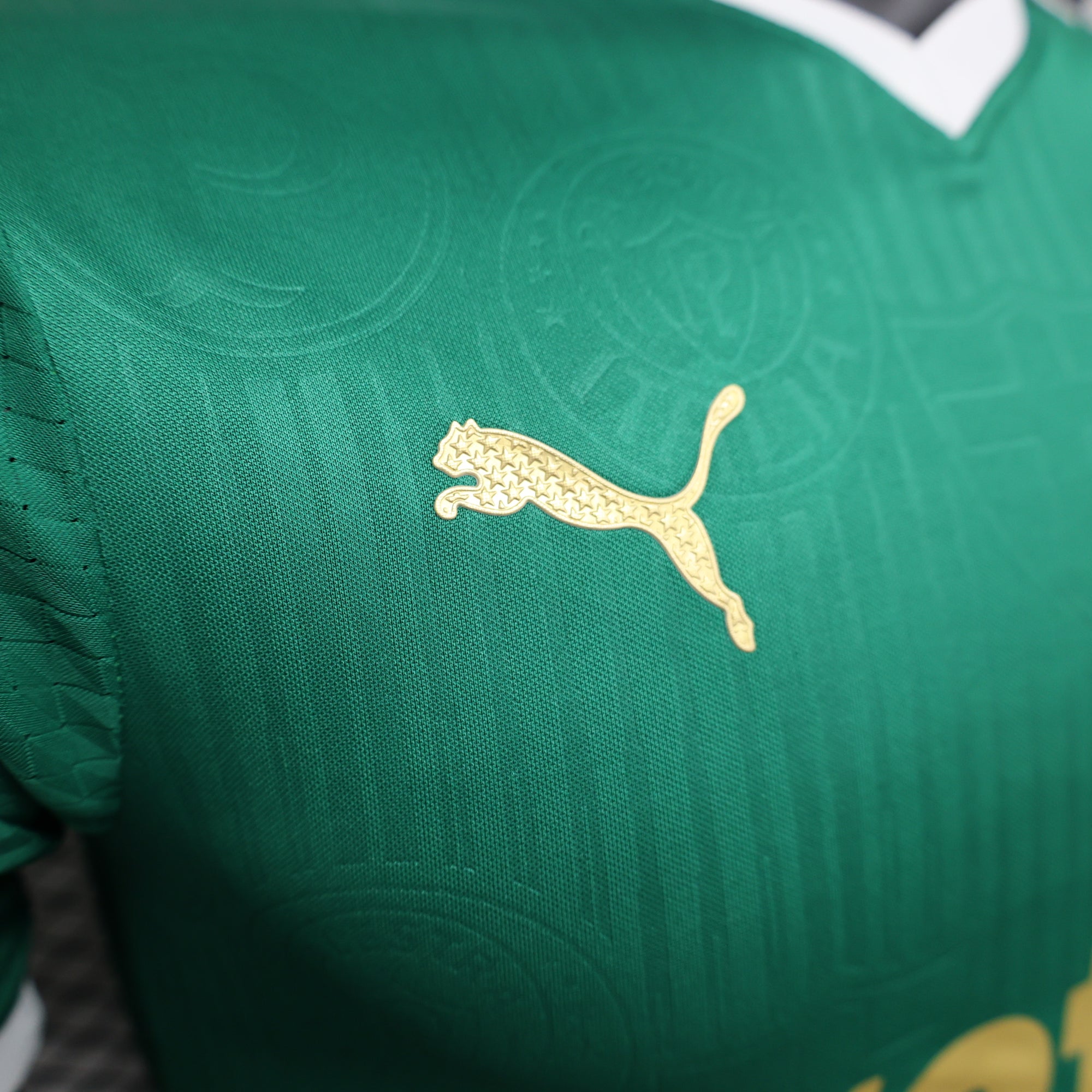 Camisa Palmeiras I 24/25 - Torcedor e Jogador