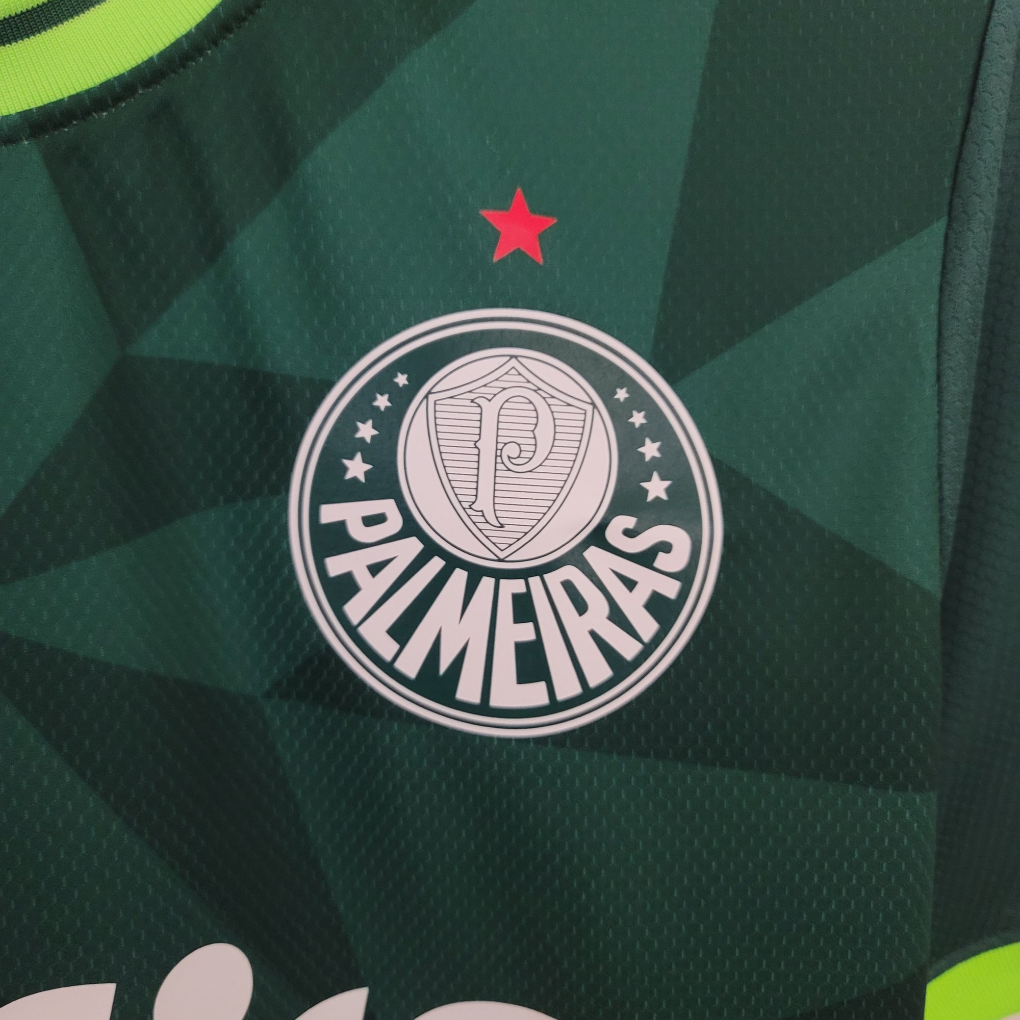 Camisa Palmeiras I 23/24 - Torcedor e Jogador