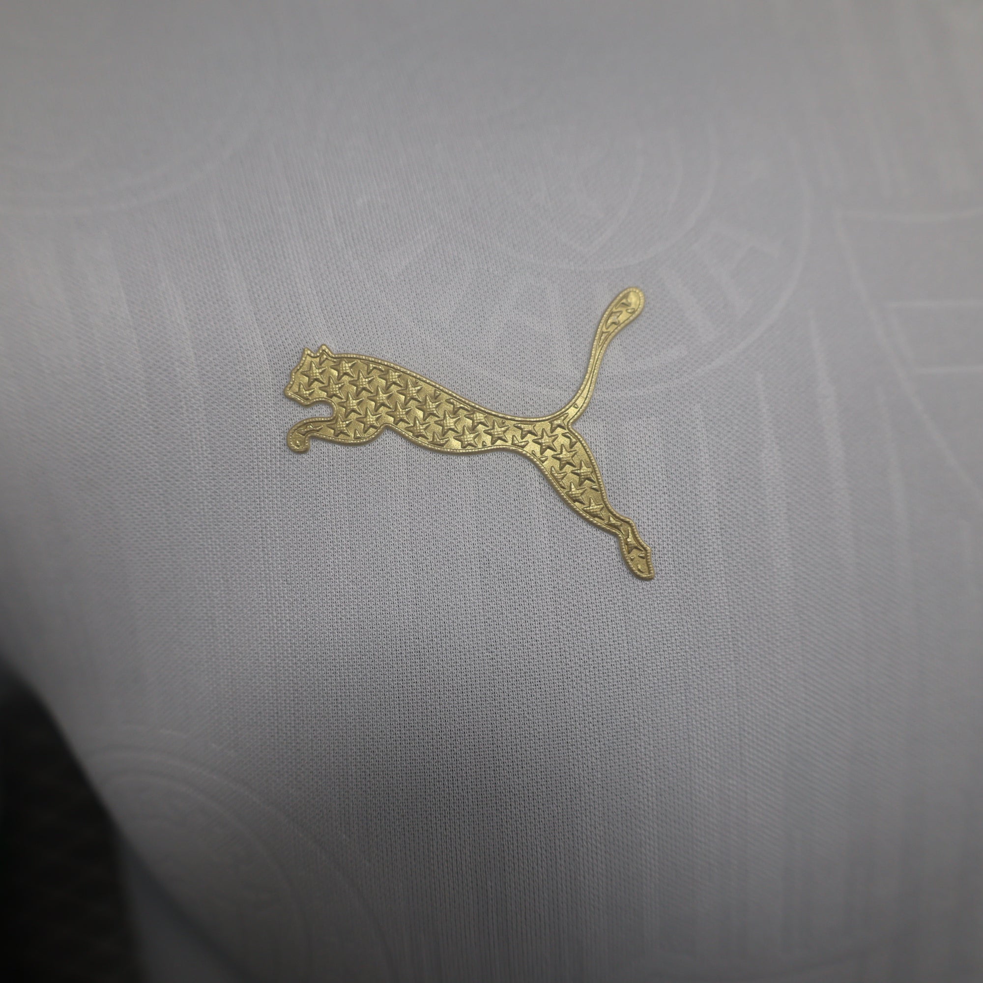 Camisa Palmeiras II 24/25 - Torcedor e Jogador