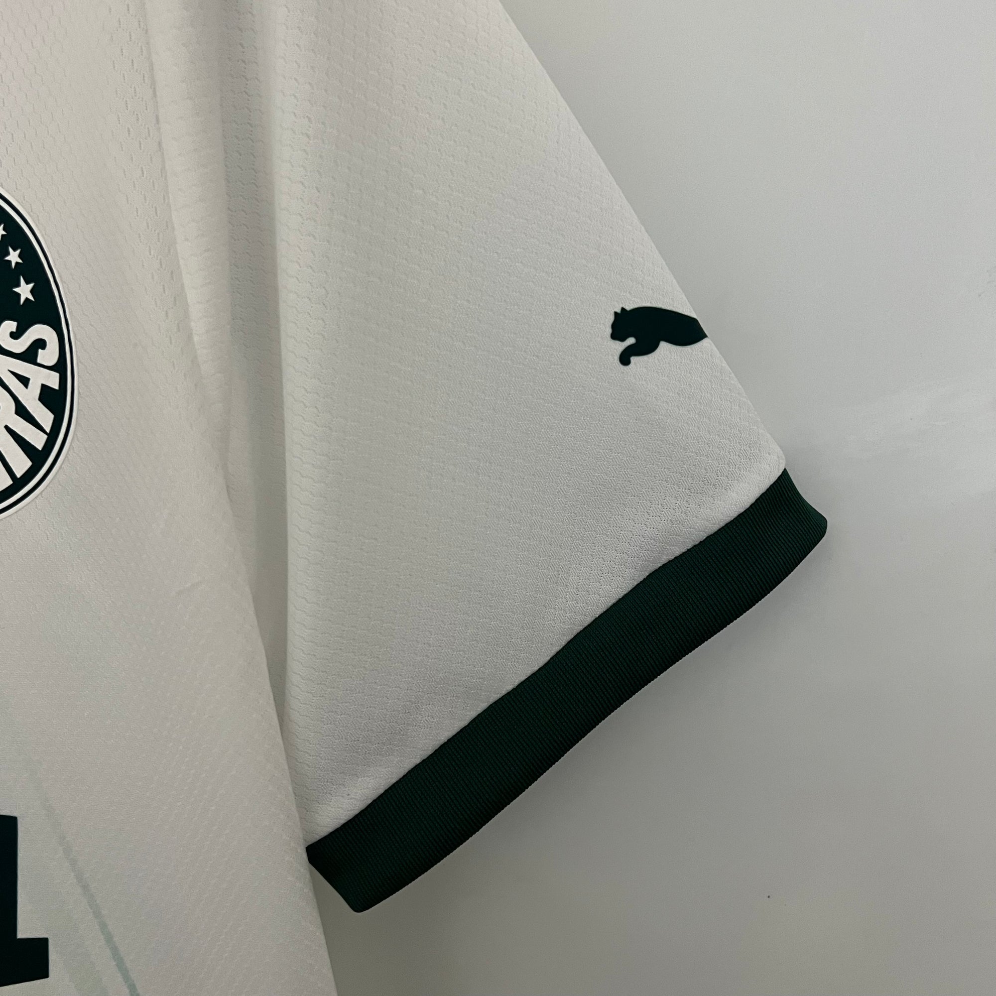 Camisa Palmeiras II 23/24 - Torcedor e Jogador