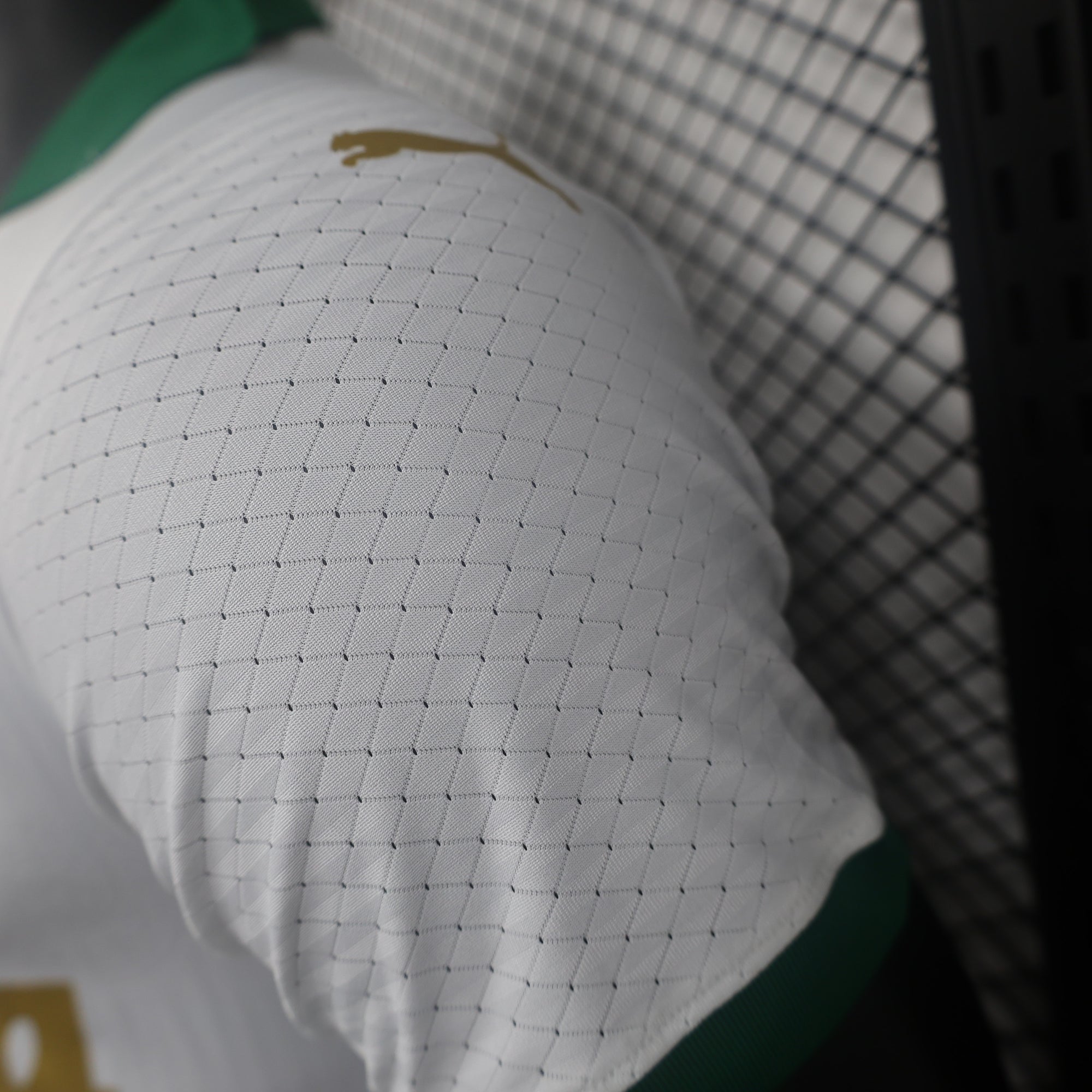 Camisa Palmeiras II 24/25 - Torcedor e Jogador