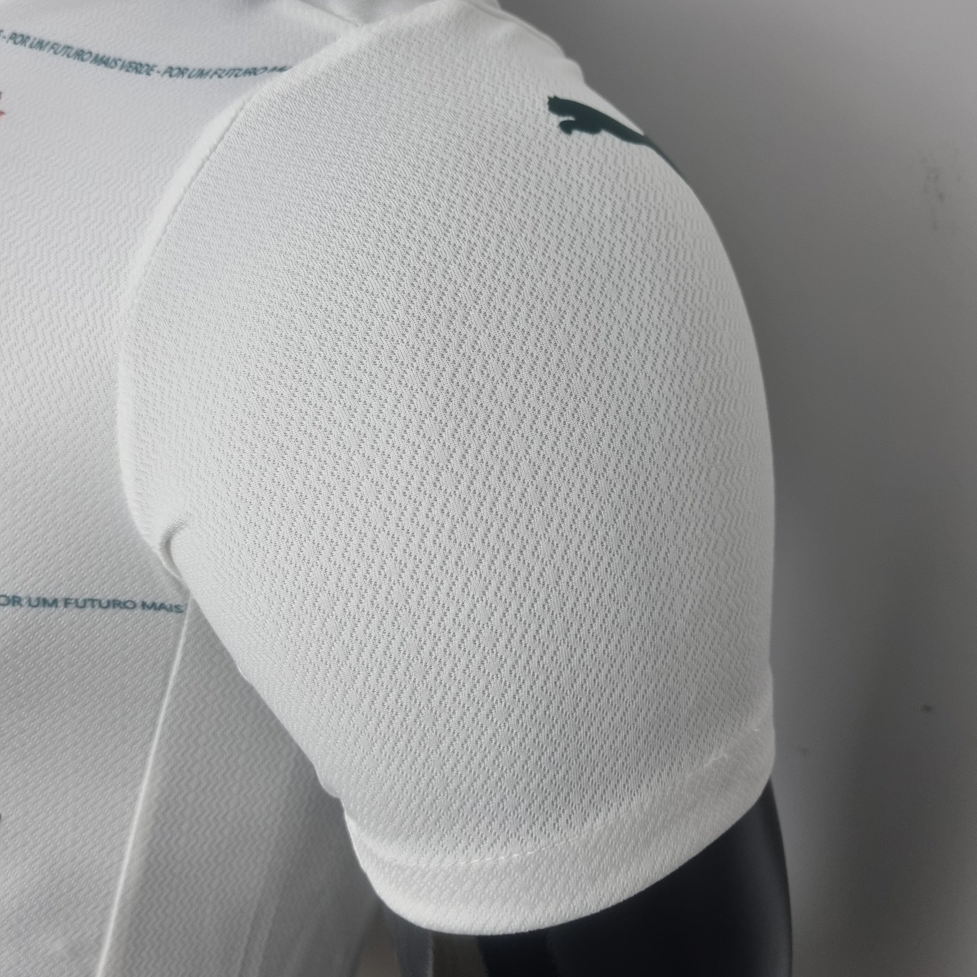 Camisa Palmeiras II 22/23 - Torcedor e Jogador