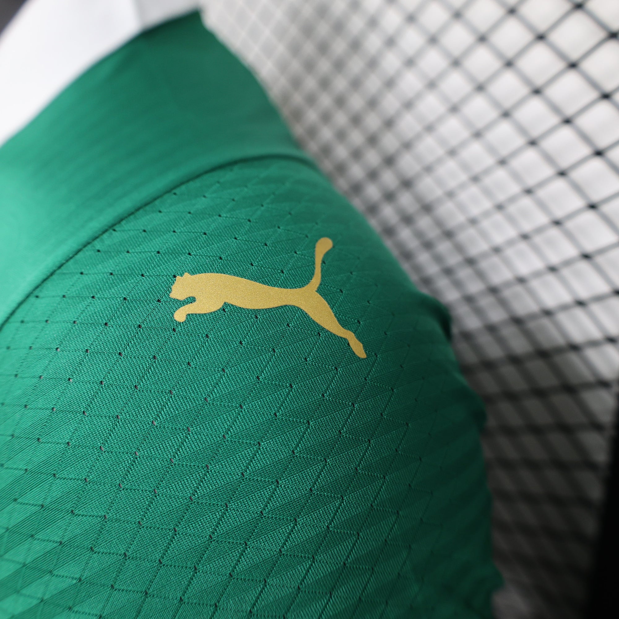 Camisa Palmeiras I 24/25 - Torcedor e Jogador
