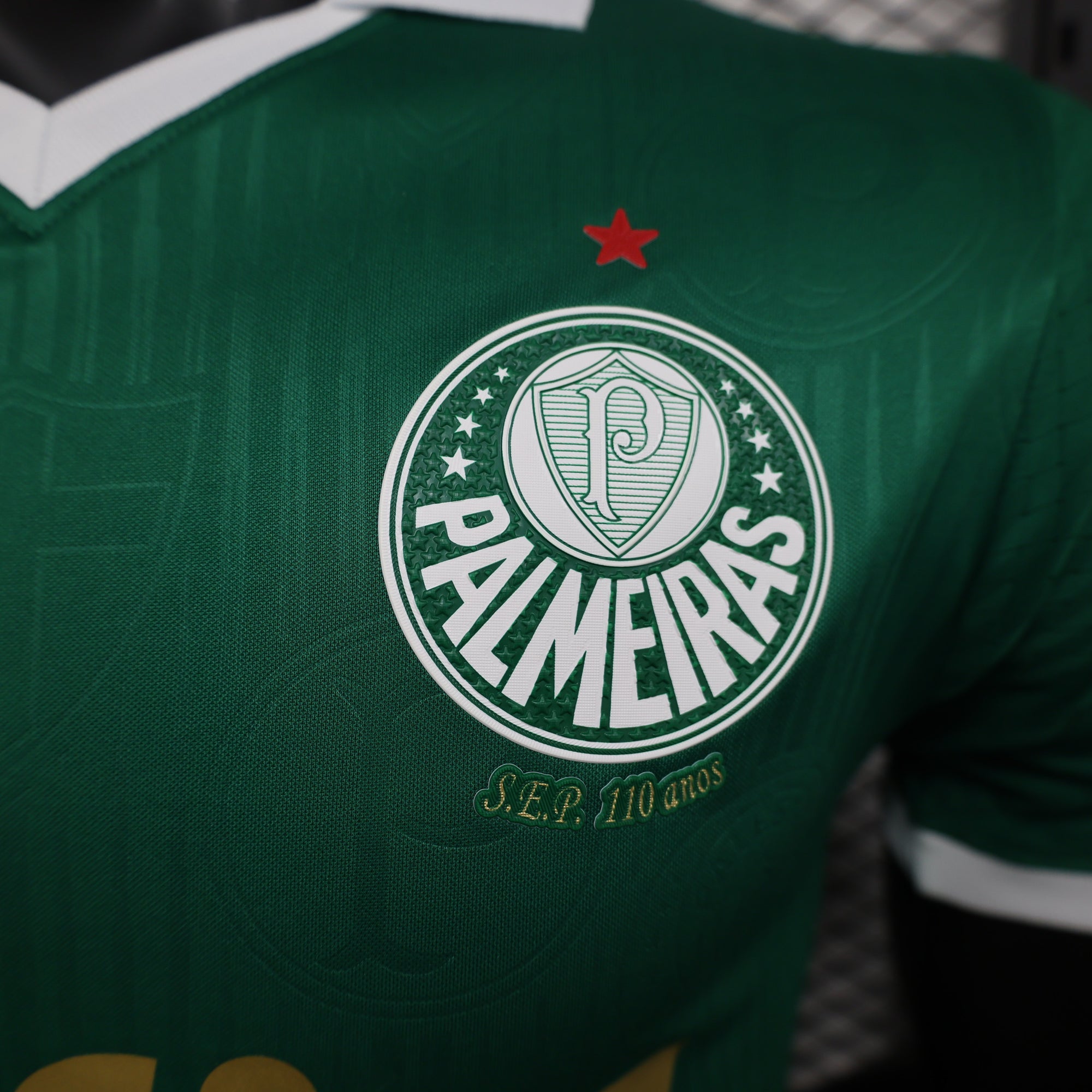 Camisa Palmeiras I 24/25 - Torcedor e Jogador