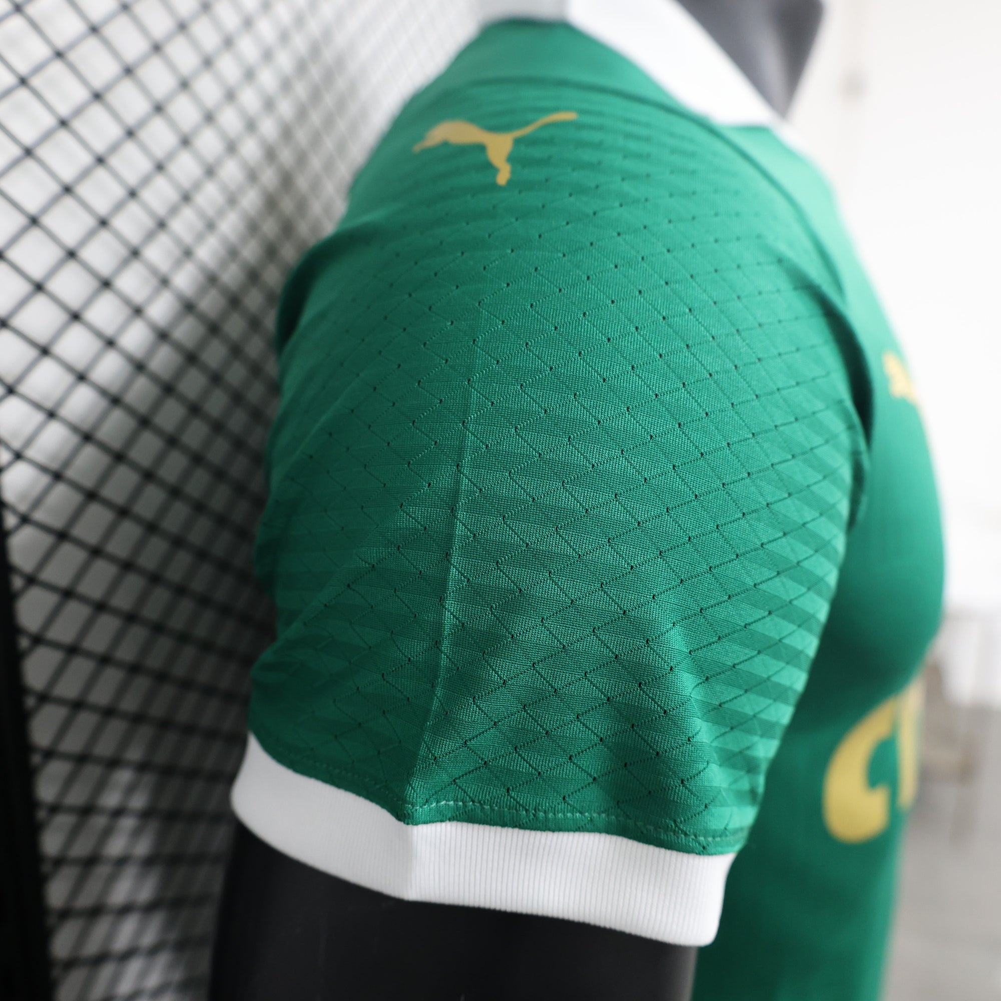 Camisa Palmeiras I 24/25 - Torcedor e Jogador